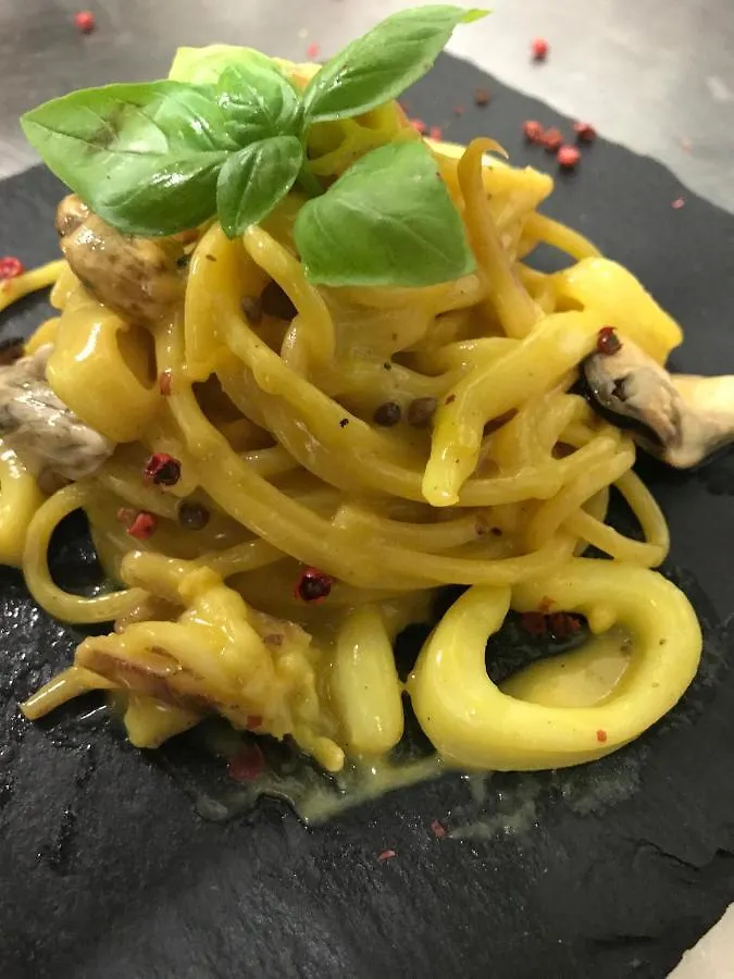Hotel Nuova Medusa Rimini Italy